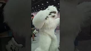 Wampa Star Wars starwars wampa empirestrikesback [upl. by Dinny832]