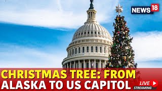 US Capitol Christmas Tree  Sitka Spruce Arrives At US Capitol Christmas Tree Live  Christmas Tree [upl. by Ignatz]