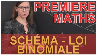 Loi binomiale  Exemple avec un schéma  Maths première  Les Bons Profs [upl. by Bette-Ann]