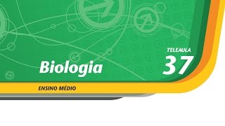 37  A lagarta acabou com o meu feijão  Biologia  Ens Médio  Telecurso [upl. by Jenifer]