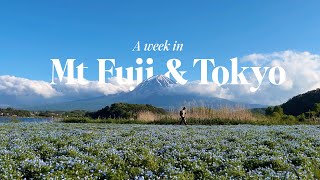 Mt Fuji amp Tokyo Travel Vlog  flower festival Fuji viewpoints quiet areas in Tokyo [upl. by Enirhtak]