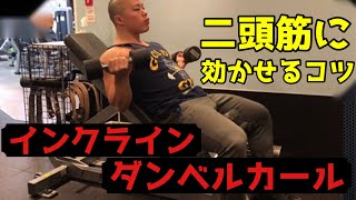 【インクラインダンベルカール】角度・重さなど上腕二頭筋長頭に効かせるコツを解説 [upl. by Annemarie]