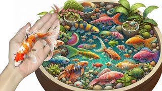 catching fish colorful fish goldfish koi fish betta fish turtles crabs catfish [upl. by Smith]