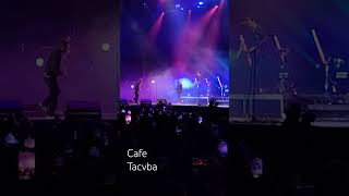 Cafe Tacvba  Como te extraño mi amor  Tecate Peninsula 2024 Tijuana [upl. by Cheryl]