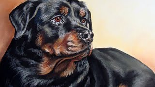 My Rottweiler Drawing [upl. by Shanley]