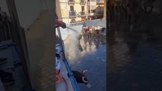 desembarque de toros en el primer encierro de fiestas de Almazora [upl. by Auqinat]