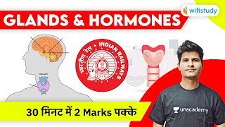 Glands amp Hormones in Human Body  Hormones amp Glands Explained by Neeraj Jangid [upl. by Silvester]