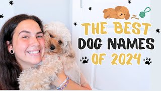 The Best Dog Names of 2024  Male amp Female Puppy Name Ideas [upl. by Cleve541]