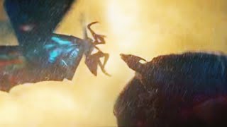 Mothra vs Rodan [upl. by Paynter357]