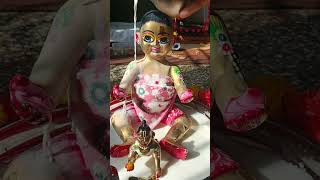 Radhe radhe radheradhe laddugopal bakebihariji youtubeshorts sabscribep [upl. by Foulk]