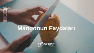 Tropik Sepeti  Mangonun Faydaları [upl. by Ribak]