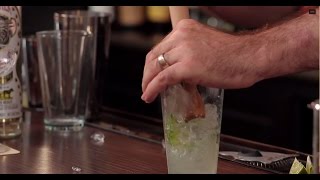 The Problem with Ice Muddling  Margarita Cocktail [upl. by Lipsey211]