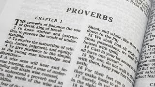 Proverbs 28 KJV Read Along [upl. by Enomar]