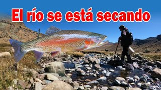 En el río seco  ¿CÓMO PESCAR TRUCHAS 🐟 [upl. by Bocoj478]