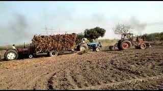 belarustractor 510 vs Ford Tractor 4000 vs 3610 Tractor 🚜 [upl. by Kimmel]