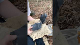 Spalling Dacite Obsidian flintknapping obsidian rockhounding obsidiana asmr stoneage stoneart [upl. by Grous]