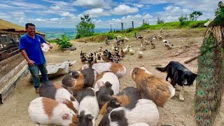 Um lugar encantado com tantas belezas naturais com muitas aves exóticas e animais lindos… [upl. by Sundberg721]