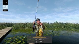 FishingPlanet  Everglades  Unique Butterfly Peacock Bass [upl. by Arehc171]