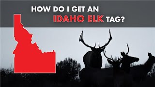 How Do I Get an Elk Tag in Idaho  MASTERING THE DRAW [upl. by Eveleen612]