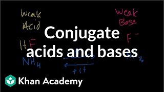 Conjugate acids and bases [upl. by Jankey]