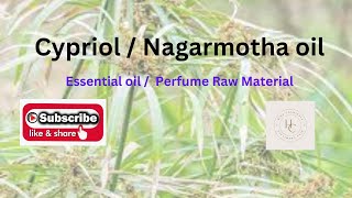 Cypriol or Nagarmotha oil  Essential oil Aroma chemicals [upl. by Bolling]