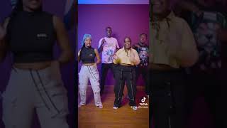 Phina tititi song official tiktok dance [upl. by Nairahcaz]