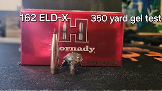 7mm rem mag 162 ELDX  350 yard ballistics gel test [upl. by Ynohtn498]