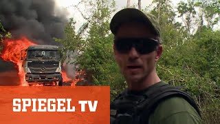 Kahlschlag im brasilianischen Regenwald Unterwegs mit einem Sondereinsatzkommando  SPIEGEL TV [upl. by Zeena]