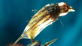 Tying the Catgut Caddis Pupa with Davie McPhail [upl. by Winny640]