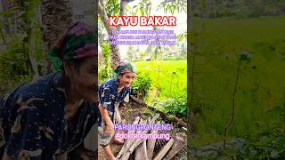 THE BIOMASS FUEL KAYU BAKAR  syarhan ruralhealthcare [upl. by Levitan]