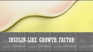 InsulinLike Growth Factor [upl. by Gravante]