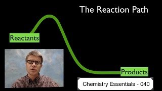 The Reaction Path [upl. by Candide]