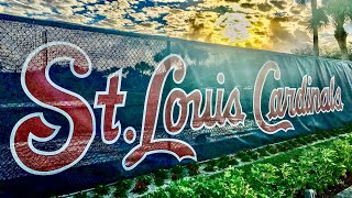 Cardinals Spring Training Preview [upl. by Hogg825]