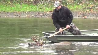 Veterinarian and his Son rescue a 10 Point Buck [upl. by Nonad]