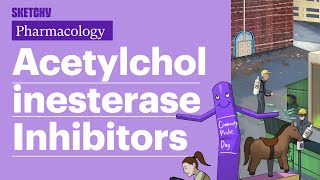 Acetylcholinesterase InhibitorsMyasthenia Gravis TreatmentPart 1  Sketchy Medical  USMLE Step 1 [upl. by Aryhs]