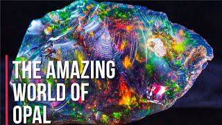 Top 10  Most Beautiful and Fascinating Opals Around the World [upl. by Elwee]