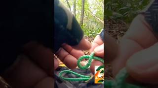 TARP KNOT bushcraft archery outdoors camping shelter knot essential easy knifeskills [upl. by Yung]