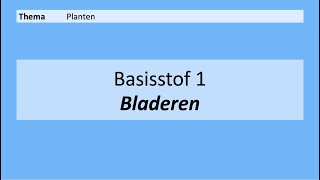 VMBO 4  Planten  Basisstof 1 Bladeren  8e editie [upl. by Loutitia]