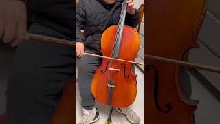 YoYo Ma cello [upl. by Eidod]