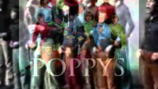 Les PoppysNon Ne Criez Pas [upl. by Fanestil524]