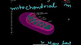 Citric acid cycleshortsrespirationplantphysiology [upl. by Ilyk]