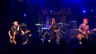 The Vandals  Live  Brakrock 2018 [upl. by Millda612]