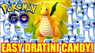 HOW TO GET EASY DRAGONITE IN POKEMON GO DRATINI FARMING [upl. by Tepper]