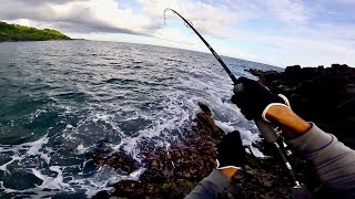 Ma Première Sériole du Bord amp Un Record Personnel  Pêche Exotique Guadeloupe [upl. by Refitsirhc]