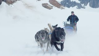 Iditarod Winner Shares Her Victory Story  Princess Cruises [upl. by Ilona]