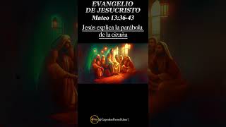 📖 EVANGELIO DE HOY 🌟 Martes 30 de Julio 2024 ✝️ Reflexión Mensaje y Bendición del Día 🙏✨ [upl. by Oinesra]