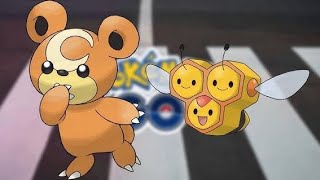 ✨CombeeTeddiursa Spotlight Hour✨ Shiny Luck Pokemon Go pokemon pokemongo pokémongo [upl. by Zachery]