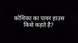 koshika ka powerhouse kise kehte hain कोशिका का पावर हाउस किसे कहते है [upl. by Na]