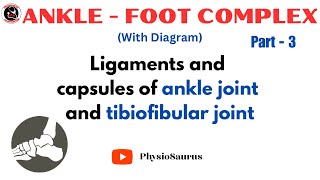 Ligaments and capsules of ankle joint proximal tibiofemoral joint and distal tibiofemoral joint [upl. by Ainsley]