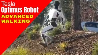 Tesla Optimus Robot Showcases Advanced Walking on Uneven Terrain [upl. by Armallas596]